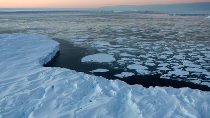 Des icebergs dérivent au large de la baie de Vincennes, dans le Territoire antarctique australien, le 27 septembre 2013. (TORSTEN BLACKWOOD / AFP)