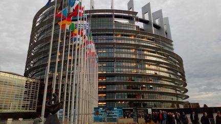 Façade du Parlement Européen de Strasbourg avec des drapeaux des différents pays de l'Union Européenne. Mars 2019. (FRANÇOIS SAUVESTRE / FRANCE-BLEU PICARDIE)