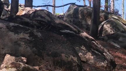 Avec la sécheresse, le risque incendie est maximal.&nbsp;Après le Gard et le&nbsp;Var notamment, c'est l'Île-de-France&nbsp;qui est à son tour en alerte aux feux de forêt.&nbsp;L'Office national des forêts appelle à la plus grande prudence, comme dans la forêt de Fontainebleau en Seine-et-Marne, particulièrement fréquentée en ce moment. (FRANCE 2)