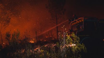 Un incendie a ravagé plus de 3 200 hectares, mercredi 14 septembre, dans le Médoc. Il s'est déclaré lundi à Saumois, en Gironde. (BENJAMIN GUILLOT-MOUEIX / HANS LUCAS)