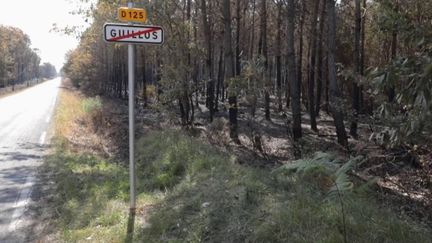 Incendies en Gironde : l'accalmie se confirme, mais la prudence reste de mise (FRANCE 3)