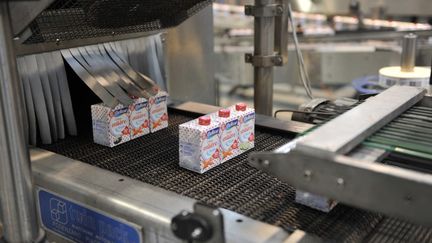 De la crème liquide emballée dans une usine LSDH à Saint-Denis-de-l'Hôtel, près d'Orléans (Loiret), le 22 janvier 2016. (GUILLAUME SOUVANT / AFP)