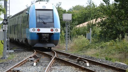 Un TER pr&egrave;s de Nantes (Loire-Atlantique), en septembre 2013. (  MAXPPP)