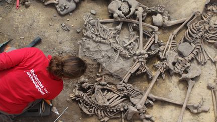 Les équipes de l'Inrap fouillement manuellement le site archéologique d'Achenheim (Bas-Rhin). (PHILIPPE LEFRANC / AFP)