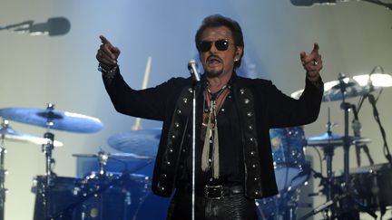 Johnny Hallyday en concert aux Francofolies à La Rochelle le 14 juillet 2015. (XAVIER LEOTY / AFP)