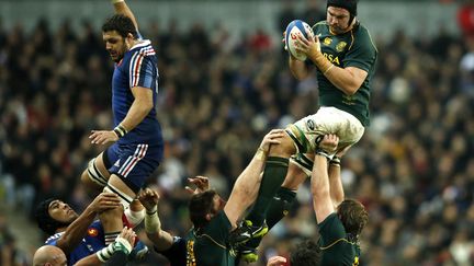 Le Sud-africain&nbsp;Pieter-Steph Du Toit attrape le ballon lors d'un match amical de rugby entre la France et l'Afrique du sud &agrave; La Plaine Saint-Denis (Seine -aint-Denis), le 23 novembre 2013. (BENOIT TESSIER  / REUTERS)
