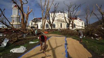 Des habitants font s&eacute;cher du riz devant la cath&eacute;drale endommag&eacute;e apr&egrave;s le passage du typhon &agrave; Palo (Philippines), le 17 novembre 2013. (BOBBY YIP / REUTERS)