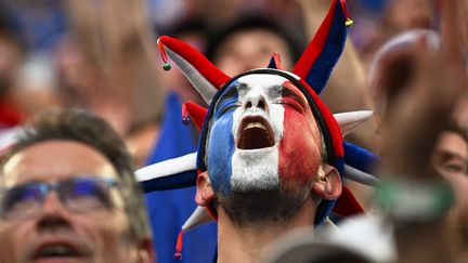 Un supporter de l'équipe de France lors du match Autriche-France, lors de l'Euro 2024, en Allemagne. (OZAN KOSE / AFP)