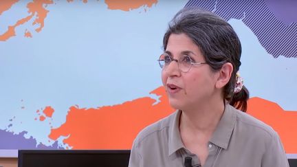 L'anthropologue Fariba Adelkhah sur le plateau de franceinfo et France 24 dans l'émission "Le Monde dans tous ses états", en février 2019. (FRANCEINFO / FRANCE 24)