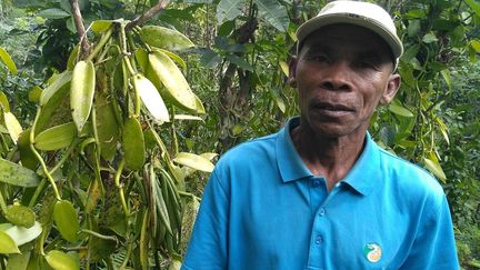 un agriculteur qui a perdu toute sa récolte en 2017, a déclaré à Reuters: «Ils ont coupé toute la vanille, les gousses. Et les emportent dans des sacs. Alors maintenant, je suis devenu plus vigilant.»
 
 (Clarel Faniry Rasoanaivo / Reuters)