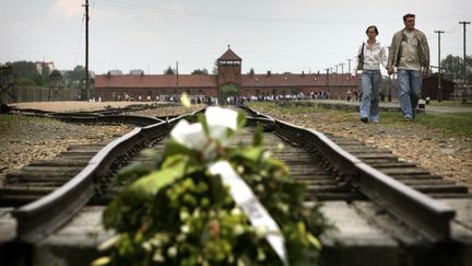 Des visiteurs marchent le long de la voie ferr&eacute;e qui menait au camp de concentration d'Auschwitz-Birkenau (Pologne), en mai 2006. (DAMIR SAGOLJ / REUTERS)