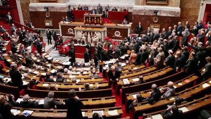 Vue de l'hémicycle de l'Assemblée nationale (Paris), en 2006. (AFP - Jacques Demarthon J)