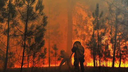 Des pompiers tentent d'&eacute;teindre un feu de for&ecirc;t &agrave; Quinta da Sobreira (Portugal), le 4 septembre 2012. (NUNO ANDRE FERREIRA / EPA / MAXPPP)