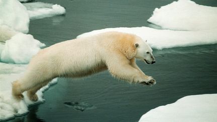 &nbsp; (Le changement climatique accélère la fonte des glaces et d''immenses étendues de banquise ont déjà disparu, ont pu constater les scientifiques © Maxppp)