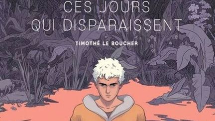 Image extraite de la couverture de "Ces jours qui disparaissent" de Timothé Le Boucher, prix des libraires 2018. (CULTUREBOX / TIMOTHÉ LE BOUCHER / GLÉNAT)