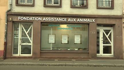 Strasbourg : un cabinet vétérinaire pour des soins à moindre prix