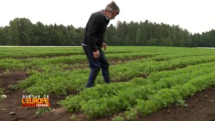 Avenue de l'Europe. "Ça nous poserait d'énormes problèmes d'être dans l'Union européenne", explique cet agriculteur norvégien (FRANCE 3 / FRANCETV INFO)