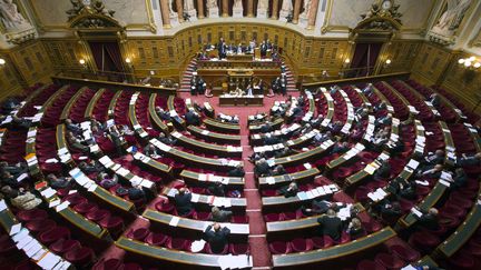 Onze sénateurs de gauche ont déposé une proposition de loi pour repousser l'application du non-cumul des mandats. (JOEL SAGET / AFP)