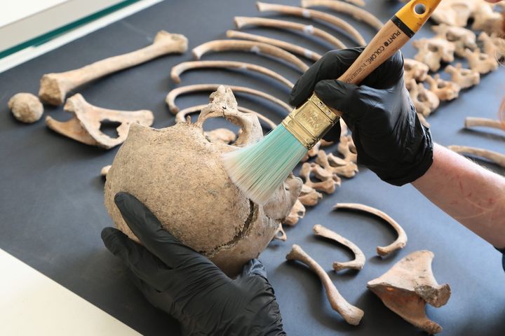 Le squelette d'un enfant de 7-8 ans retrouvé sur le site de Pompéi, 26 avril 2018 (CARLO HERMANN / MAXPPP)