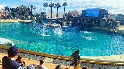 Le parc aquatique Marineland d'Antibes a annoncé mercredi "son projet de fermeture définitive à compter du 5 janvier 2025", invoquant la loi de 2021 qui interdit les spectacles de cétacés.  Le sort des salariés va être négocié prochainement