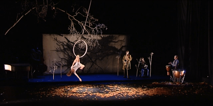 Un univers poétique qui est la marque de fabrique du Cirque Plume.
 (France 3 Franche-Comté / Culturebox)