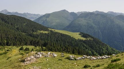 L'Ariège. Photo d'illustration. (JEAN-LUC FL?MAL / MAXPPP)