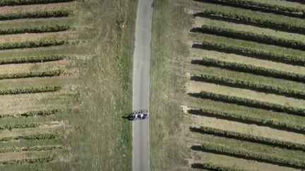 Destination France : le vélo au fil de l'eau