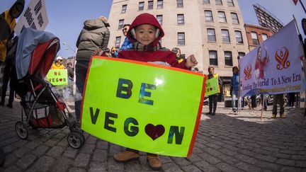 Un jeune garçon lors d'un rassemblement végétarien, à New York, le 24 mars 2013. (RICHARD B. LEVINE / MAXPPP)