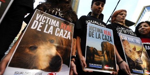 Manifestation en Espagne dénonçant les chasses de Juan Carlos. Les manifestants affichent «les victimes des chasses royales»... (PIERRE-PHILIPPE MARCOU / AFP)