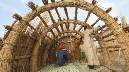 Cette famille construit un habitat dans le Hor ou marais, quelque 130 km au sud de la ville méridionale de Bassorah, le 18 novembre 2009. Ces maisons sont entièrement réalisées en roseaux.  (AFP PHOTO / ESSAM AL- SUDANI)