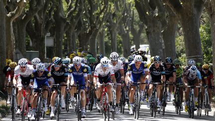 Le&nbsp;peloton du Tour de France sur la 12e &eacute;tape, entre Montpellier et Chalet-Reynard, le 14 juillet 2016.&nbsp; (JEAN-PAUL PELISSIER / REUTERS)