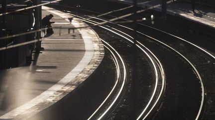 Voies de circulation&nbsp;du RER B (illustration). (VINCENT ISORE / MAXPPP)