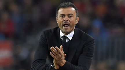 Luis Enrique sur le banc du FC Barcelone, le 25 octobre 2015. (LLUIS GENE / AFP)