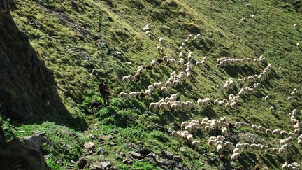 Le berger Marc Casanoves sur l'estive du mont Rouch dans les Pyr&eacute;n&eacute;es&nbsp;(Ari&egrave;ge). (MARC CASANOVES ET ELODIE AMILHAT)