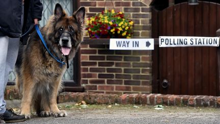 Un électeur et son chien arrivent devant un bureau de vote, à Coulsdon dans le sud de Londres (Royaume-Uni), pour les élections législatives, le 8 juin 2017. (HANNAH MCKAY / REUTERS)