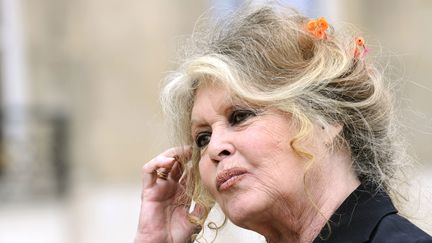 Brigitte Bardot, le 27 septembre 2007 au palais de l'Elysée, à Paris. (ERIC FEFERBERG / AFP)