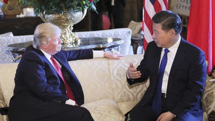 Donald Trump, le président américain et Xi Jinping, le président chinois.&nbsp; (XINHUA / XINHUA)