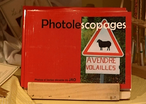 "Photolescopage", photos de rencontres improbables mais pourtant bien réelles
 (France 3)