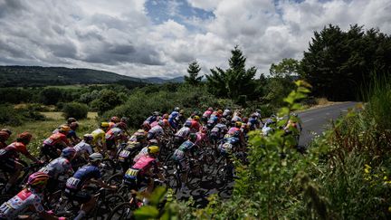 Le peloton lors de la deuxième étape du Tour de France Femmes, le 24 juillet 2023. (JEFF PACHOUD / AFP)