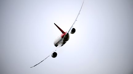 Un 787 Dreamliner lors de sa pr&eacute;sentation au Salon du Bourget (Seine-Saint-Denis), le 18 juin 2013. (ERIC FEFERBERG / AFP)