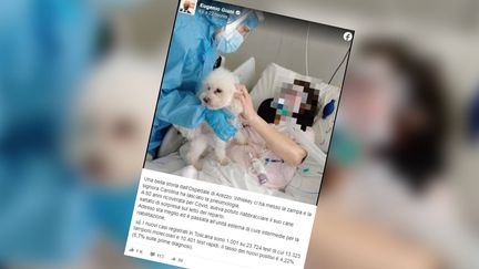 Carolina a pu retrouver son petit chien dans sa chambre d'hôpital, ce qui lui a remonté le moral. (CAPTURE D'ÉCRAN FACEBOOK)