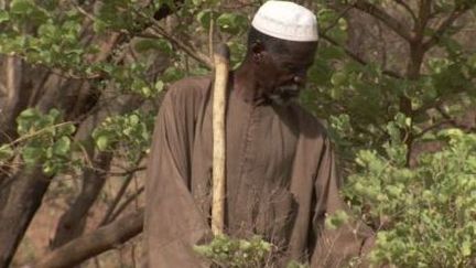 A 80 ans, Yacouba Sawadogo fait partie des personnalités récompensées le 24 septembre par le Right Livelihood, prix Nobel alternatif 2018. (RIGHT LIVELIHOOD)