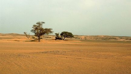 Le désert au sud de l'Algérie, dans la région de Djanet, où une touriste italienne a été enlevée (2003) (AFP / Hocine Zaourar)