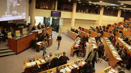 Une session du&nbsp;conseil régional d'Ile-de-France, le 21 janvier 2016, à Paris. (JACQUES DEMARTHON / AFP)