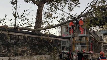 Tempête Aurore : le trafic SNCF à l’arrêt