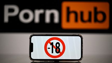 Un rapport sénatorial, publié ce mercredi 28 septembre, demande aux fournisseurs d'interdire véritablement l'accès aux sites pornographiques aux mineurs. (LIONEL BONAVENTURE / AFP)