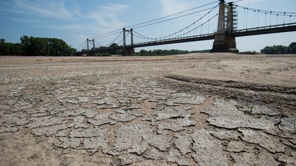 Le lit de la Loire à&nbsp;Montjean-sur-Loire, le 24 juillet 2019. (LOIC VENANCE / AFP)