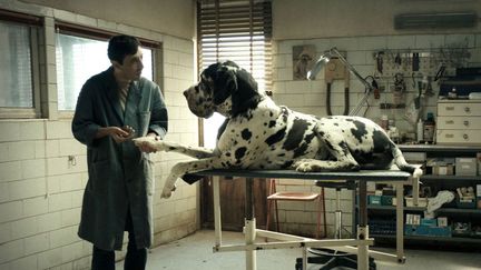  "Dogman" de l'Italien Matteo Garrone a ouvert le Festival. 
 (Greta De Lazzaris)