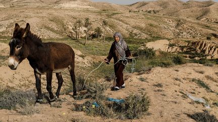 Pourtant vivre ici est difficile. Certaines maisons ne possèdent toujours pas l’électricité. "Nous devons aller chercher l'eau et le bois", explique Mounjia, une autre habitante. (ZOHRA BENSEMRA/REUTERS)