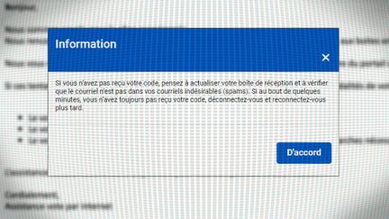 Ils sont des centaines d'électeurs de l'étranger à ne pas pouvoir finaliser leur procédure de vote en ligne pour les législatives. (FRANCEINFO)